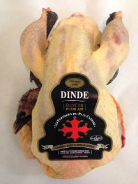 Dinde fermière du Pays Cathare