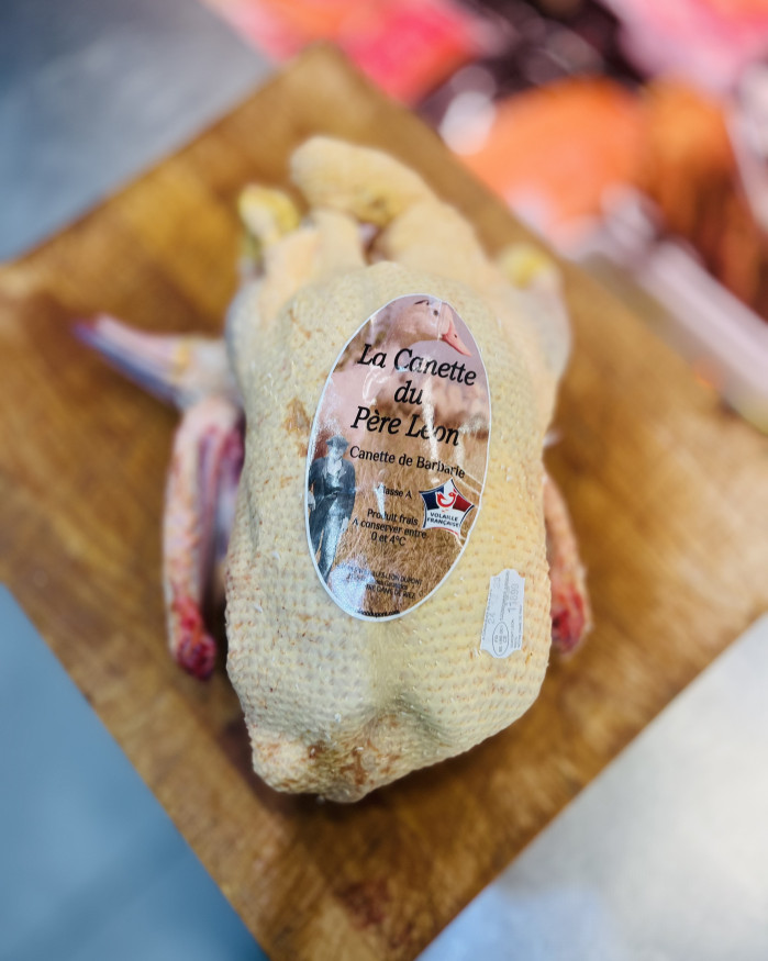 Canette de Barbarie effilée du Père Leon