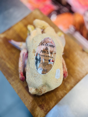 Canette de Barbarie effilée du Père Leon